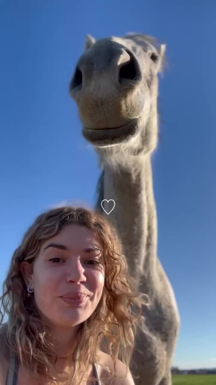 @Giulia Grandi
