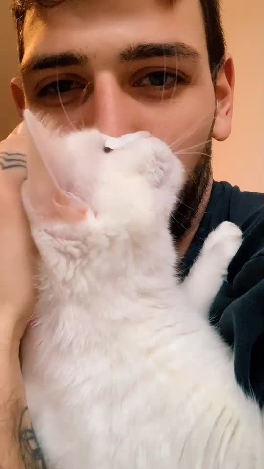 @johnny_fame_