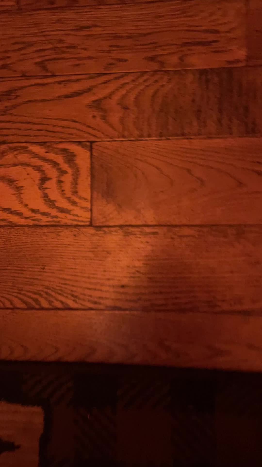 @annahope_4