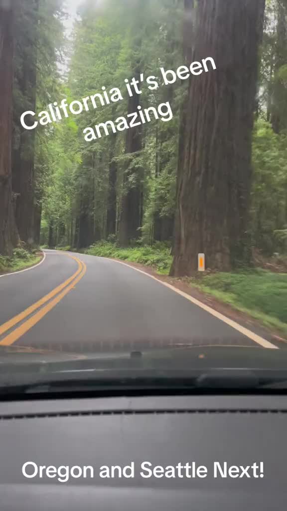 @thebartopguru
