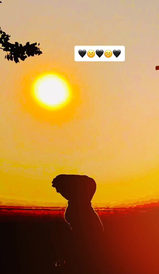 @harshrajputohit003