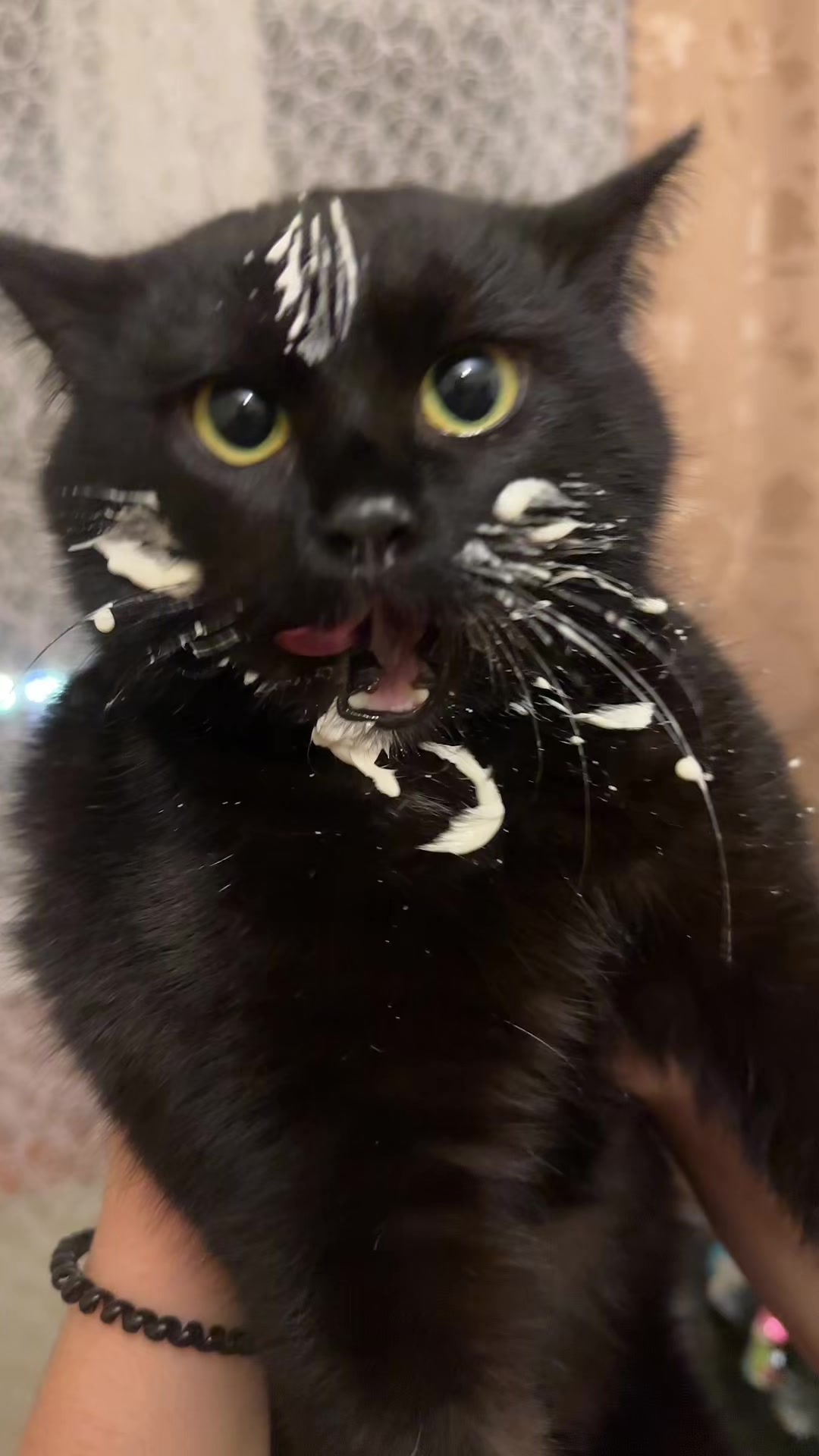 @CaTtoK