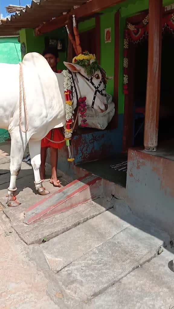 @ಭೋಮ್ಮ ಲಿಂಗೇಶ್ವರ ಬಸಪ