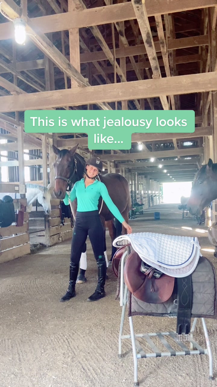 @TheChoiceEquestrian