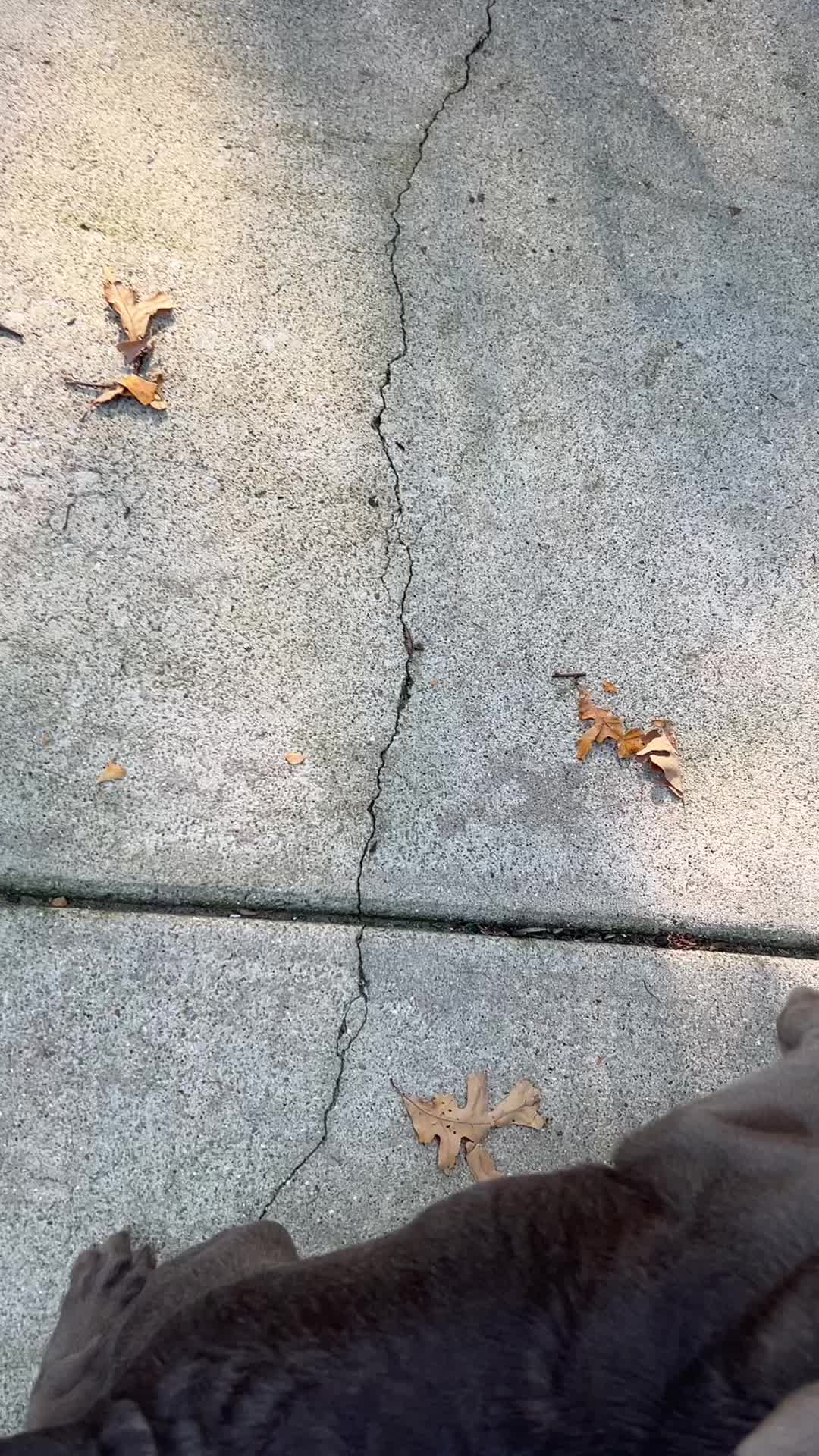@Jennyeats