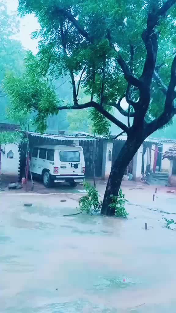 @Saurabh yadav ๐คช๐89