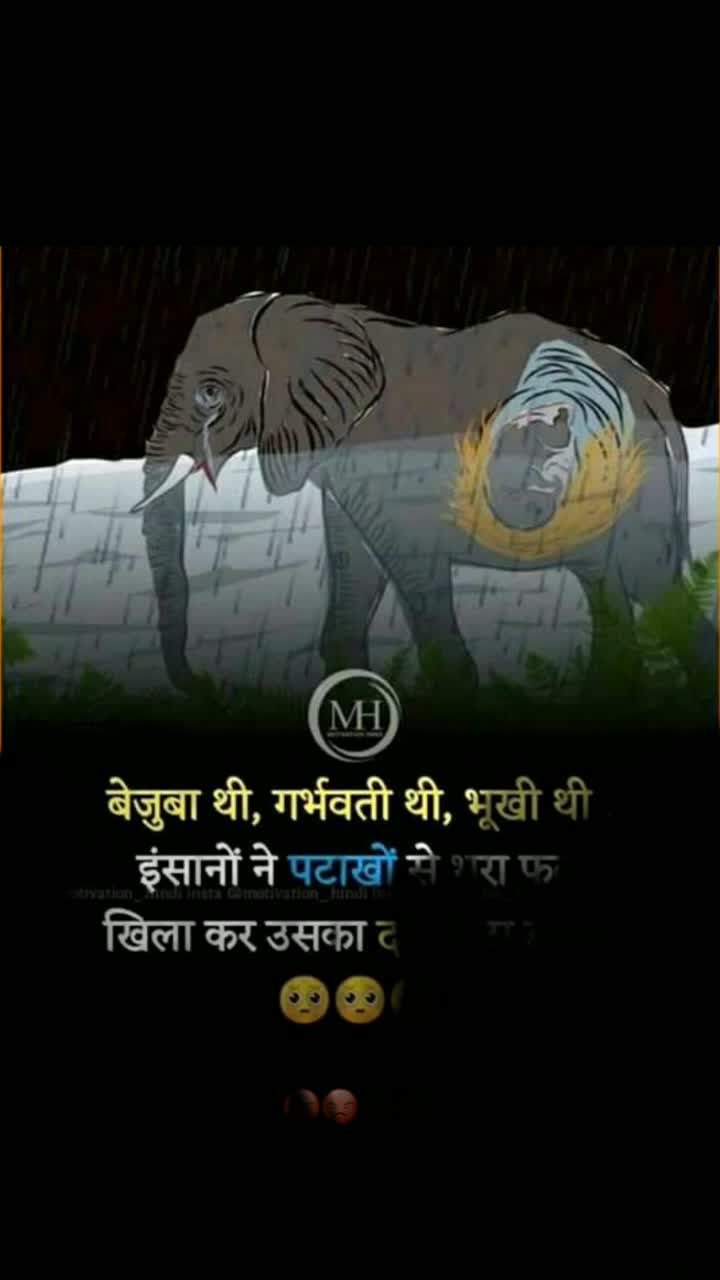 @Shahrukh King