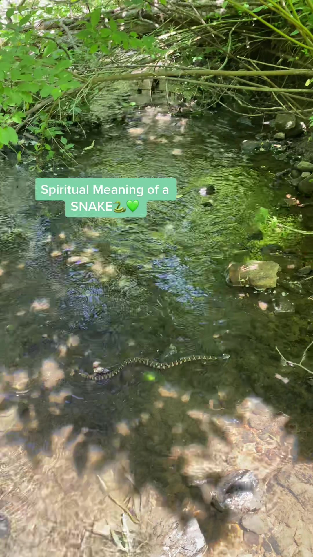 @sunnï🌞🤍