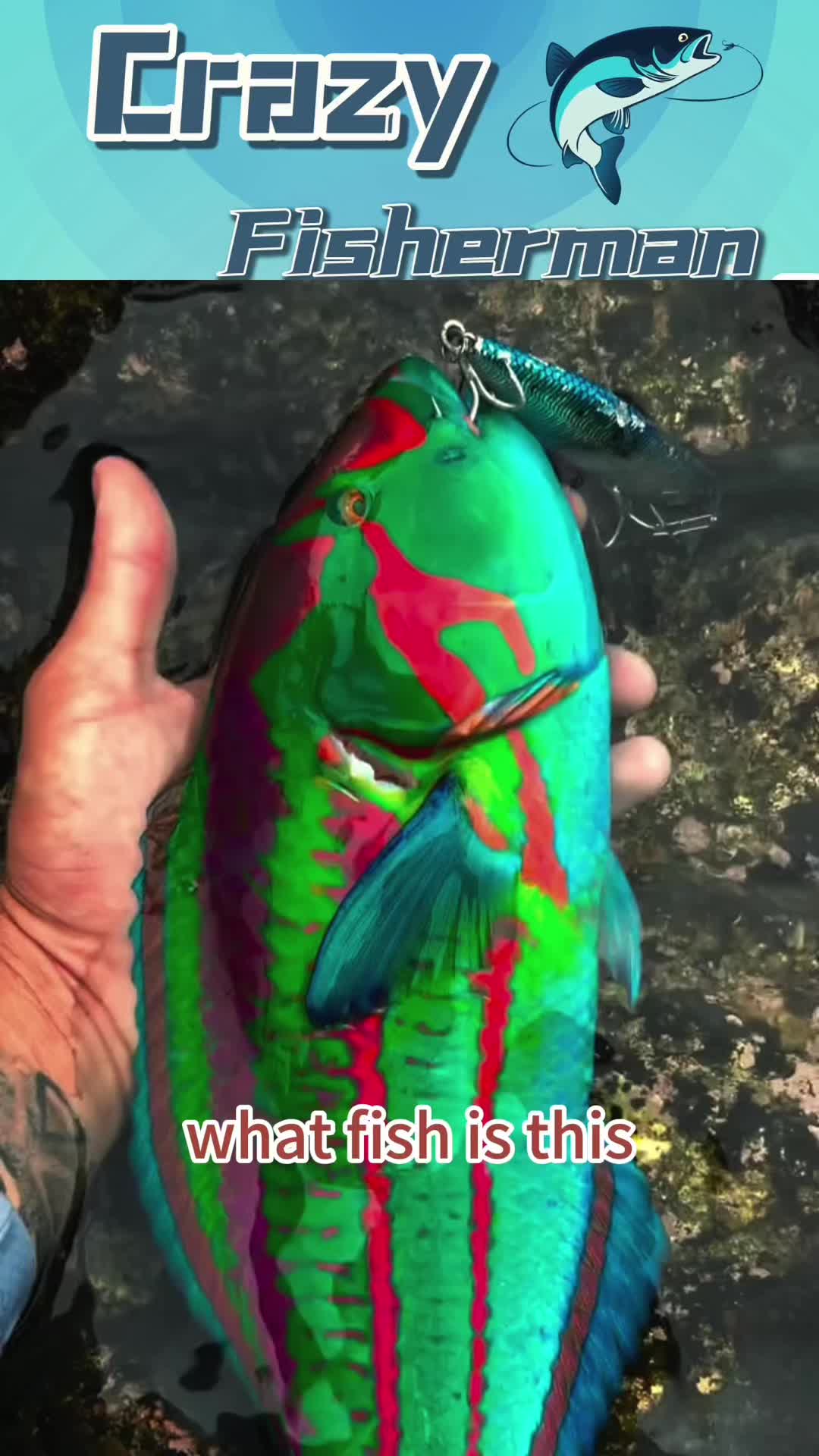 @Crazy Fisherman