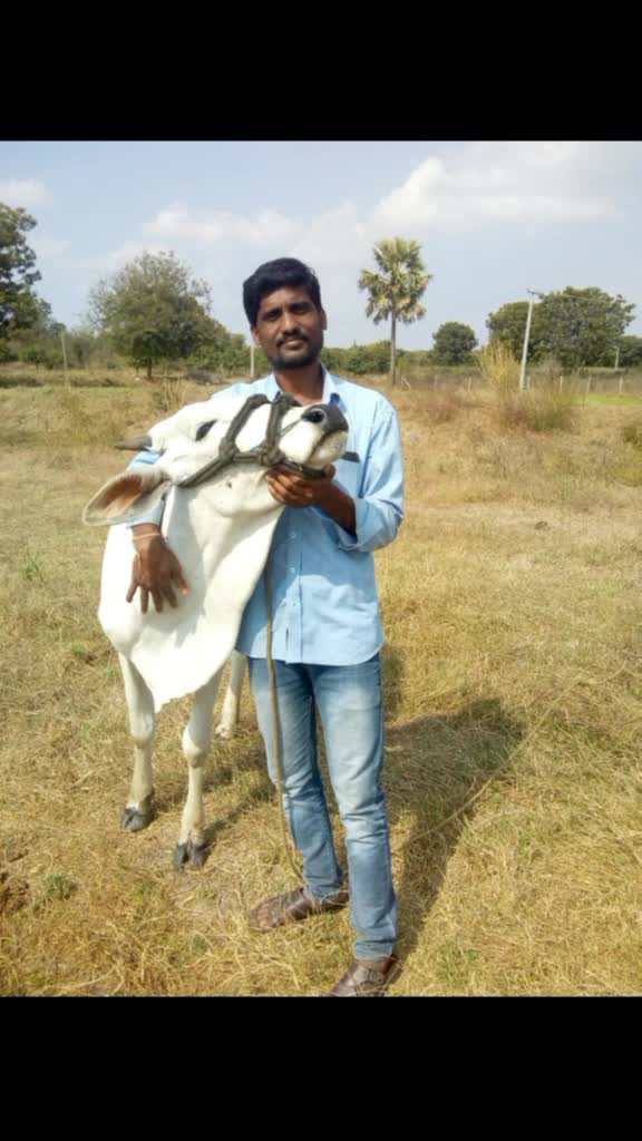 @Kathula Ramulu