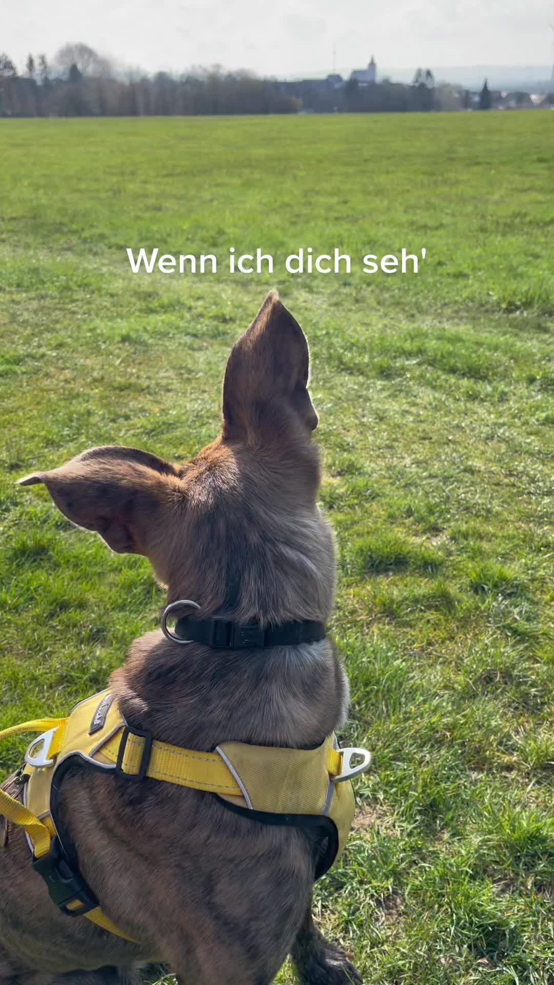 @nadiiineschmidt