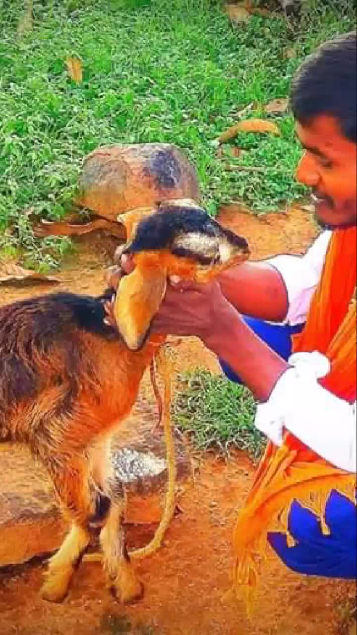 @Mahesh thoogudeepa