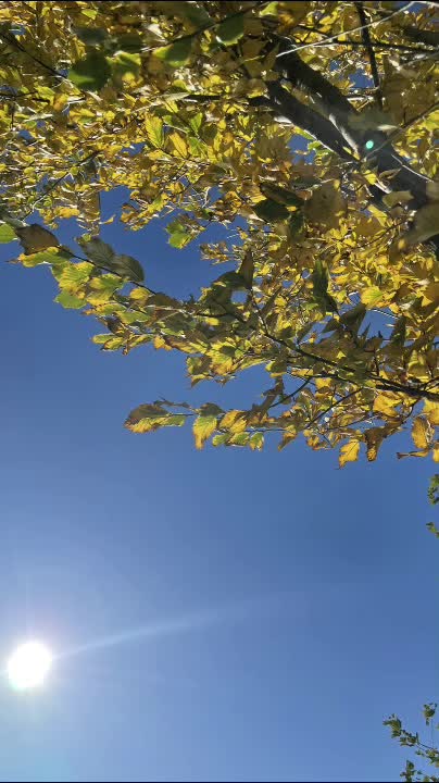 @della terra