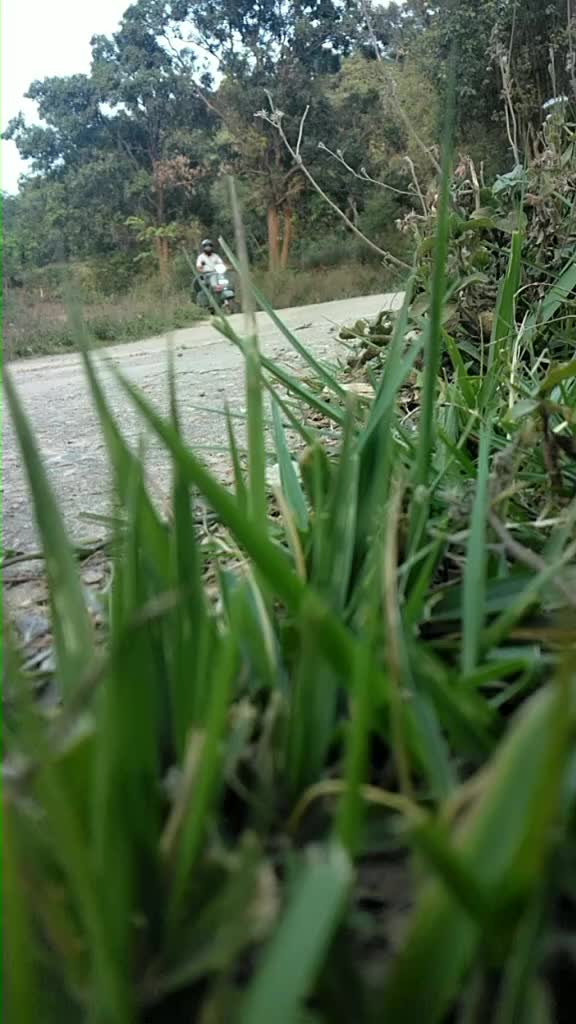 @Yash Paul Bhardwaj