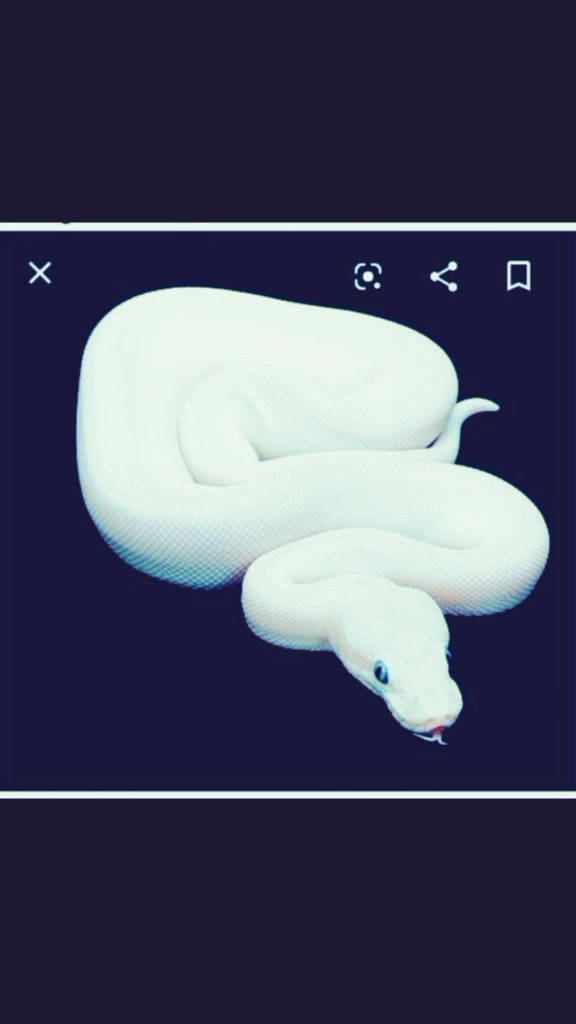@Shadow