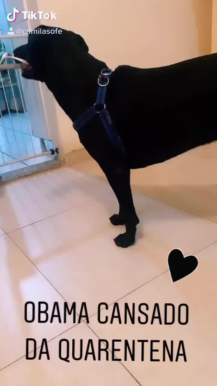 @Camila De Souza Fern