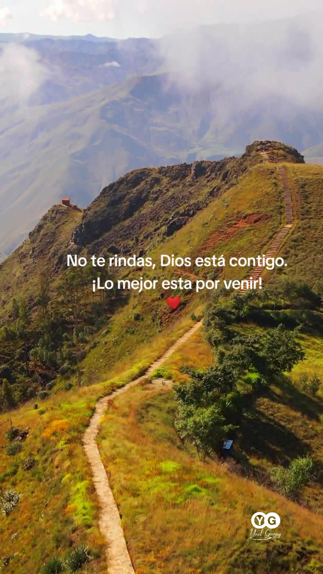 @Yoel Garay💎