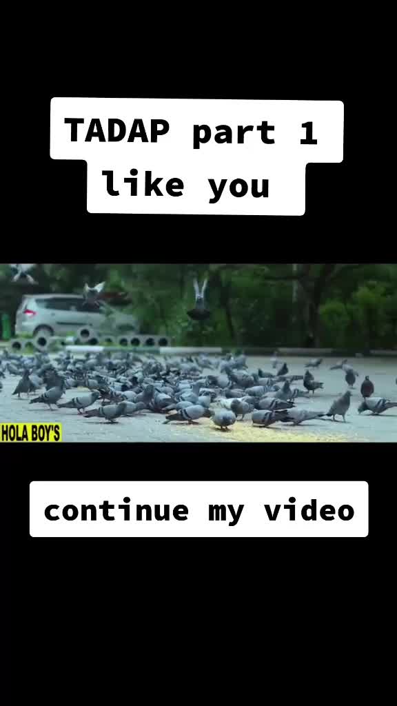 @Azam Khan 0 7 YouTub
