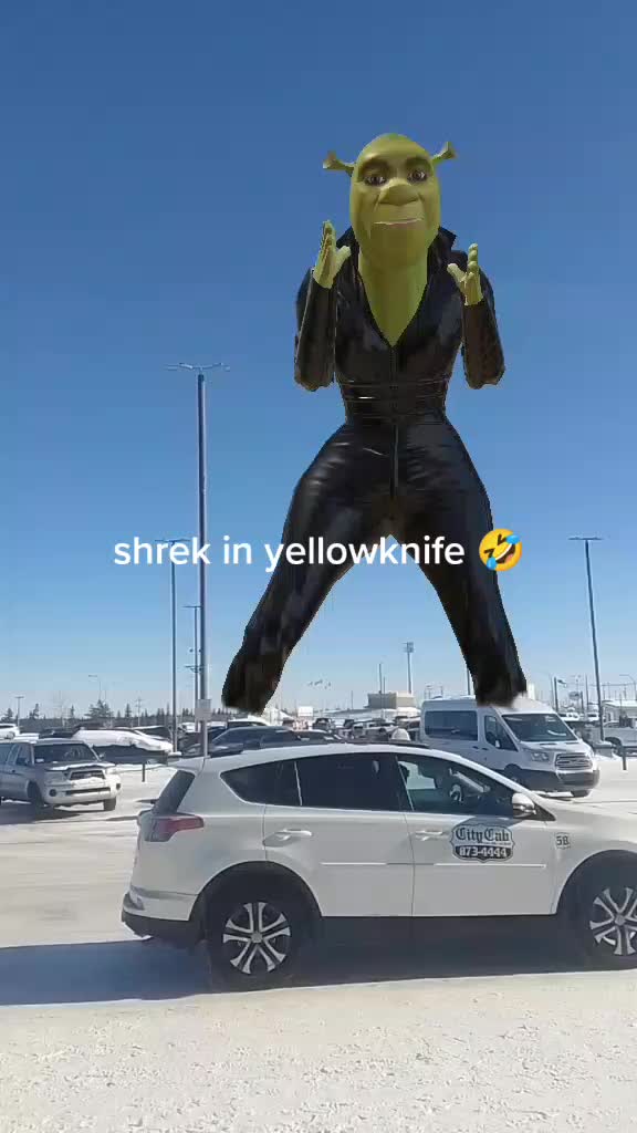 @Cheryl Taptuna