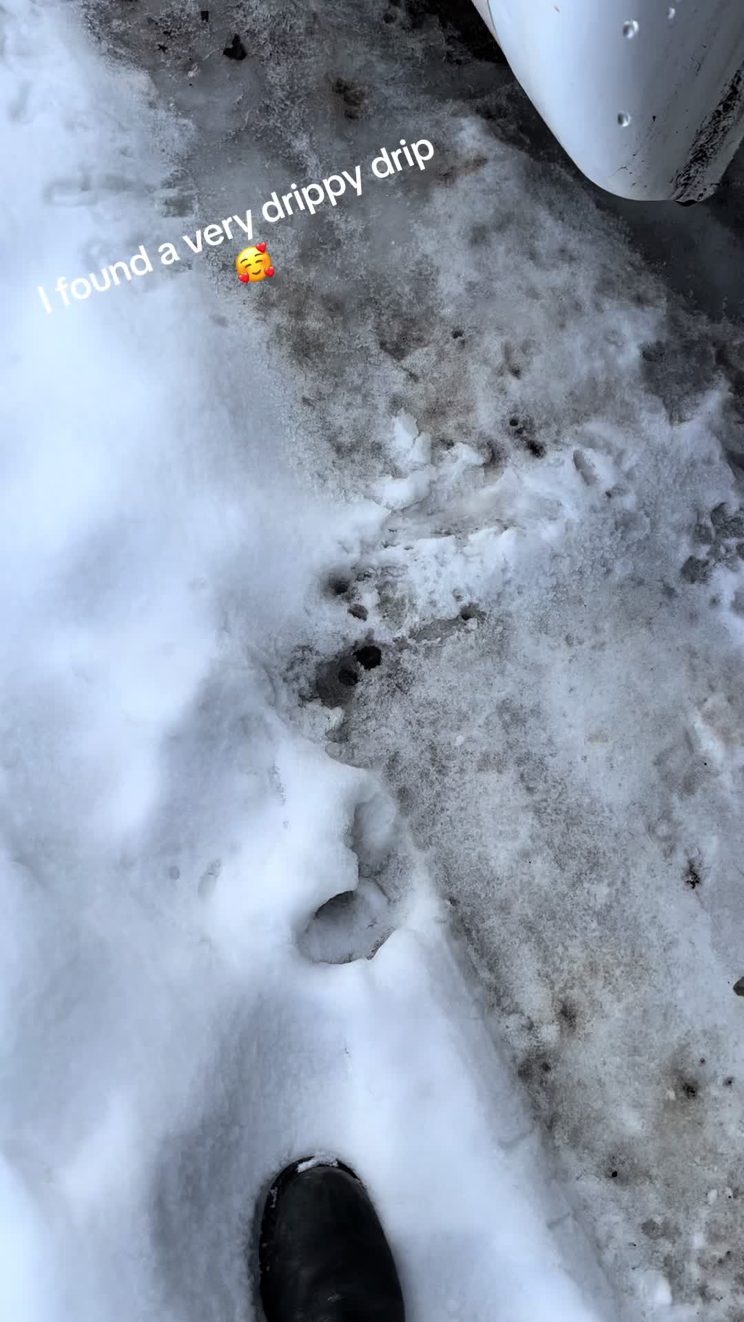 @yungnobody