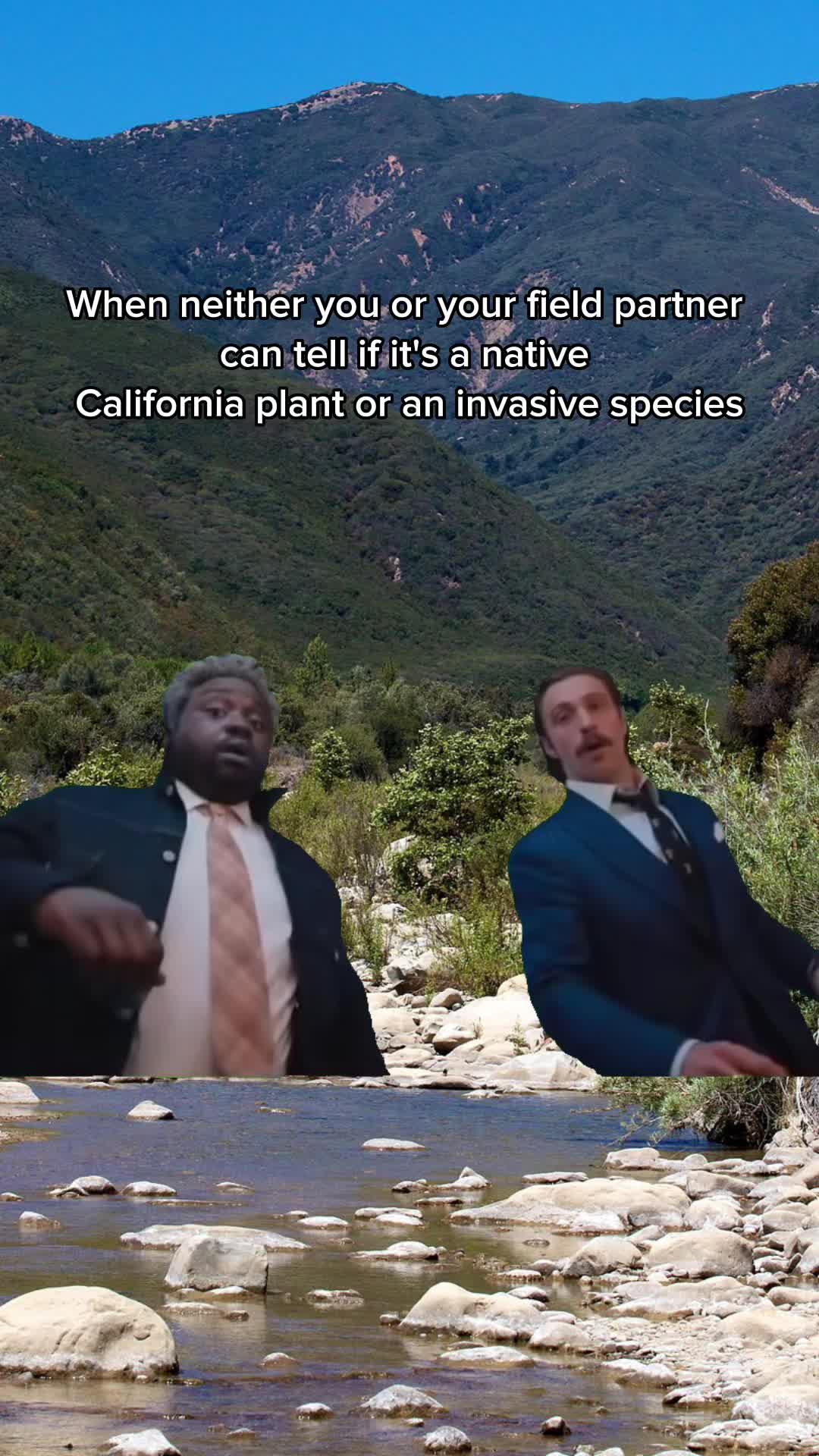 @🌱Plant Native Plants!🦋🐝
