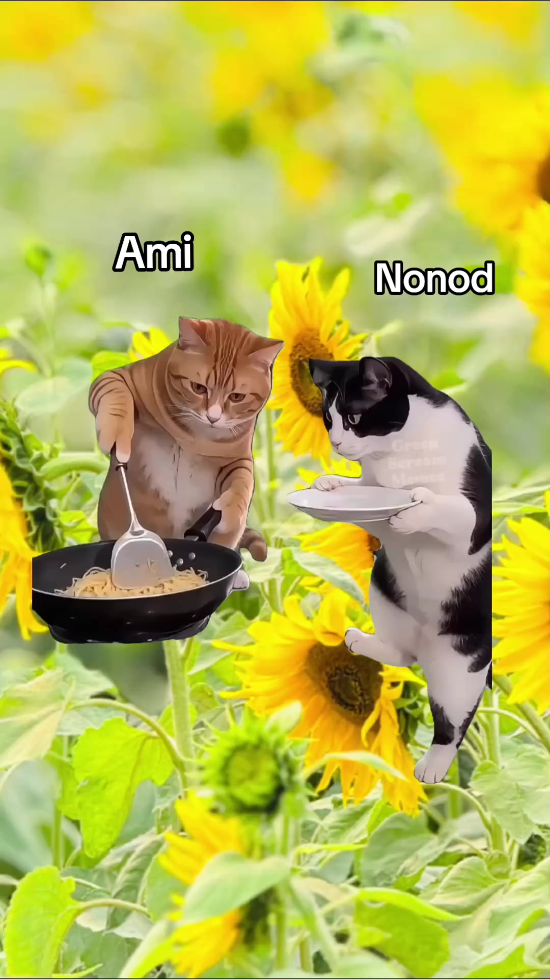 @🦋_কানিজ ফাতেমা_🦋