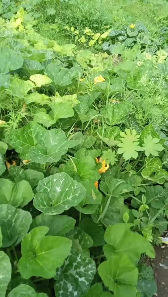 @Ganesh.Kharat