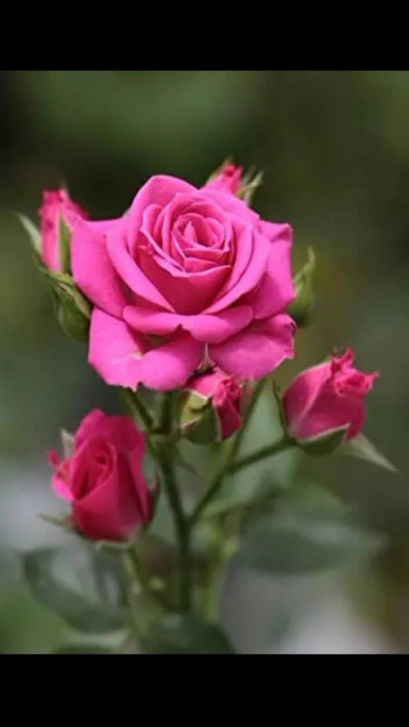 @Anitha vinay