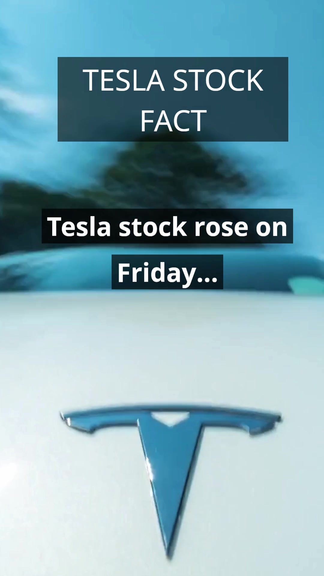 @Tesla Facts