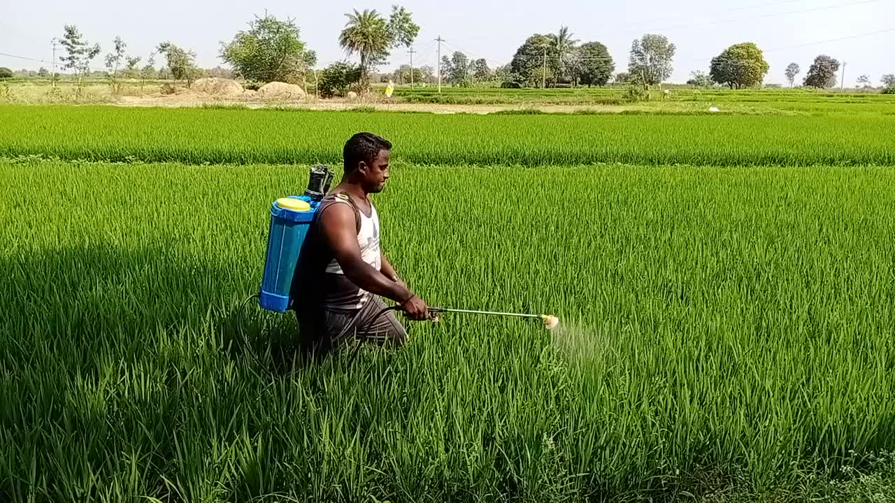 @Shekar Ryakam608