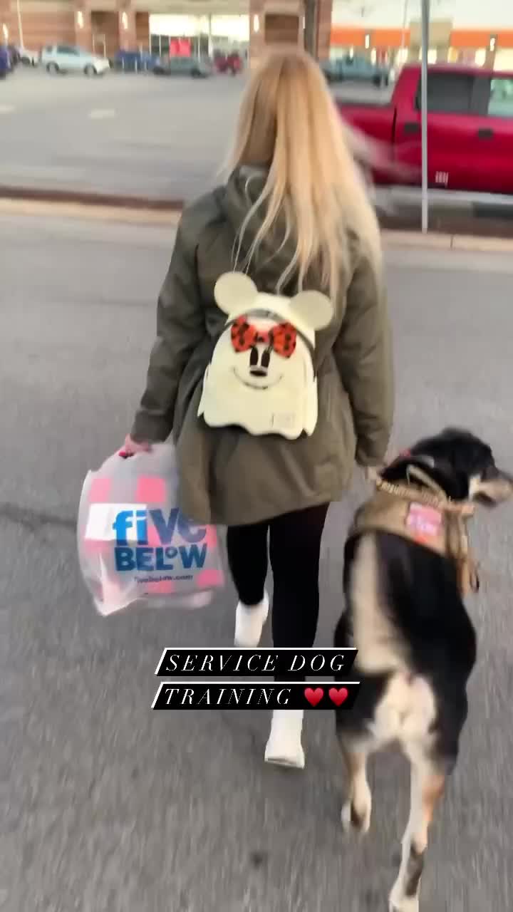 @bitsofhunny_disney