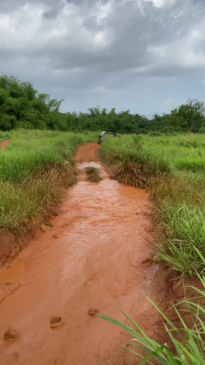 @Bush Trails Excursion Tours