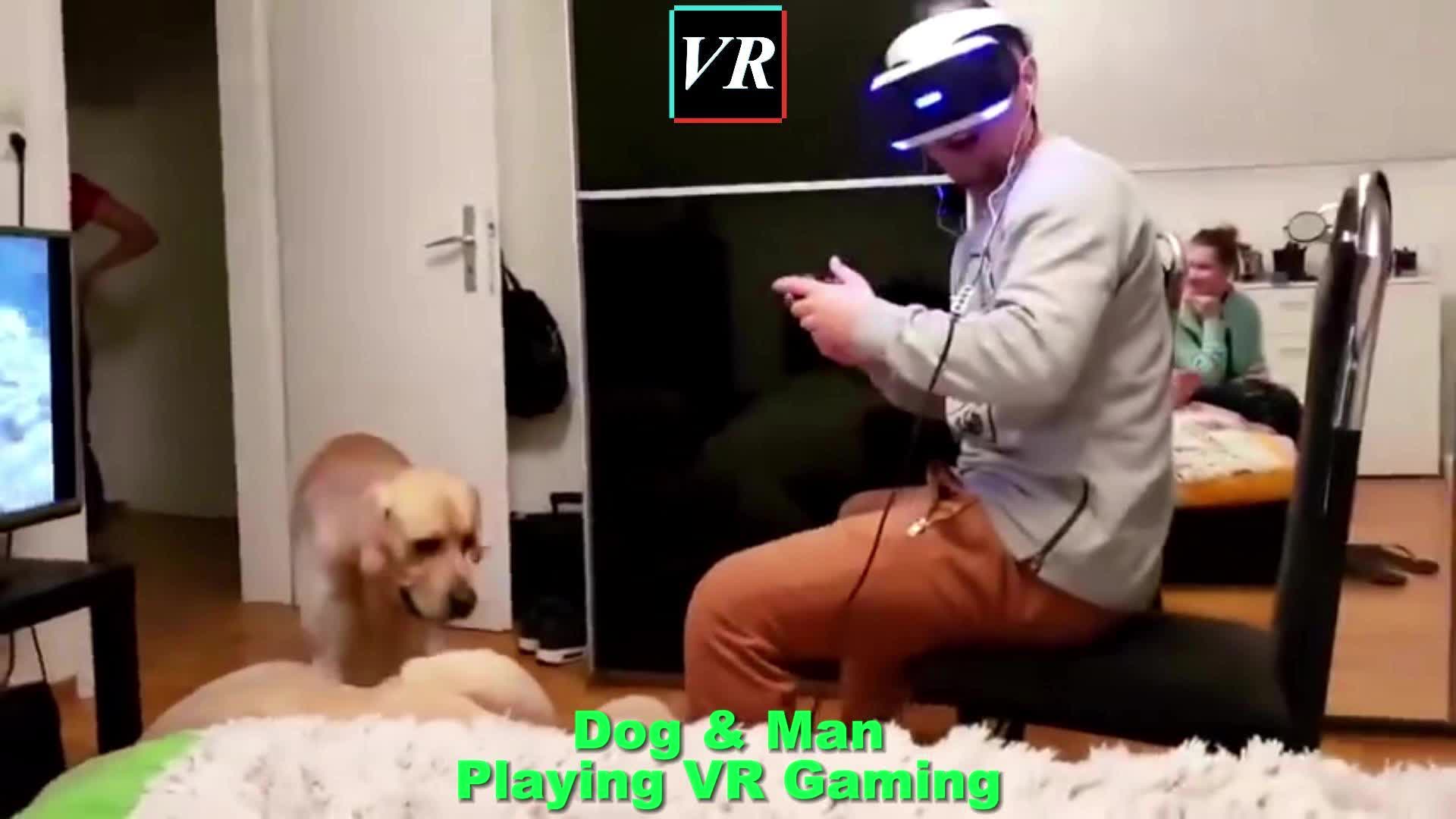 @VRVideoGamePlay