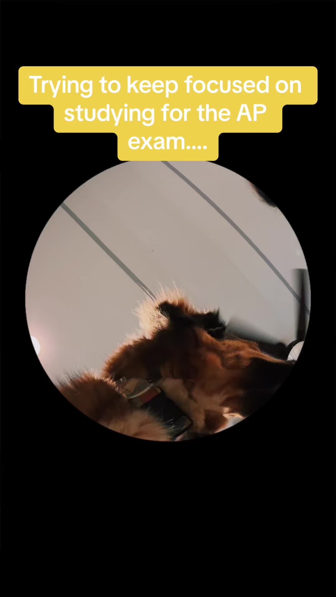 @GetAPBIOed