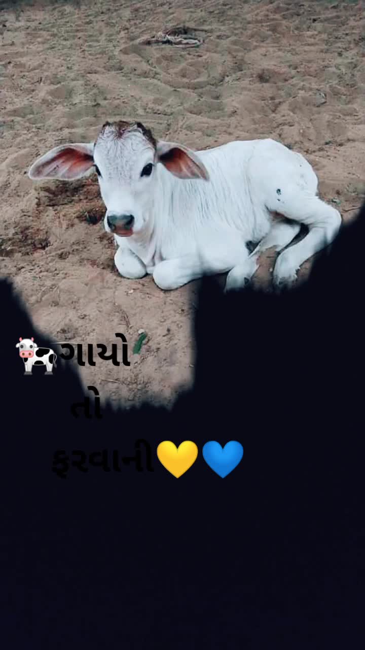 @🤠_♏♈_J@T|N_🇨🇮