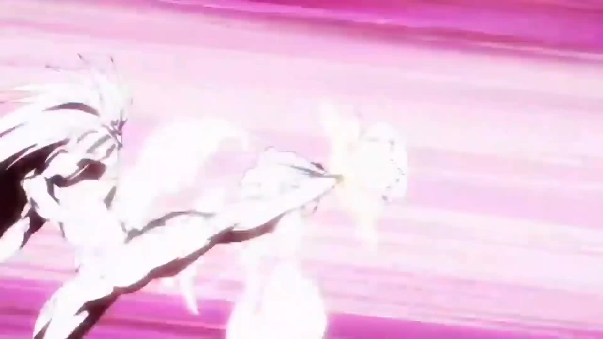 @One piece Random SBS
