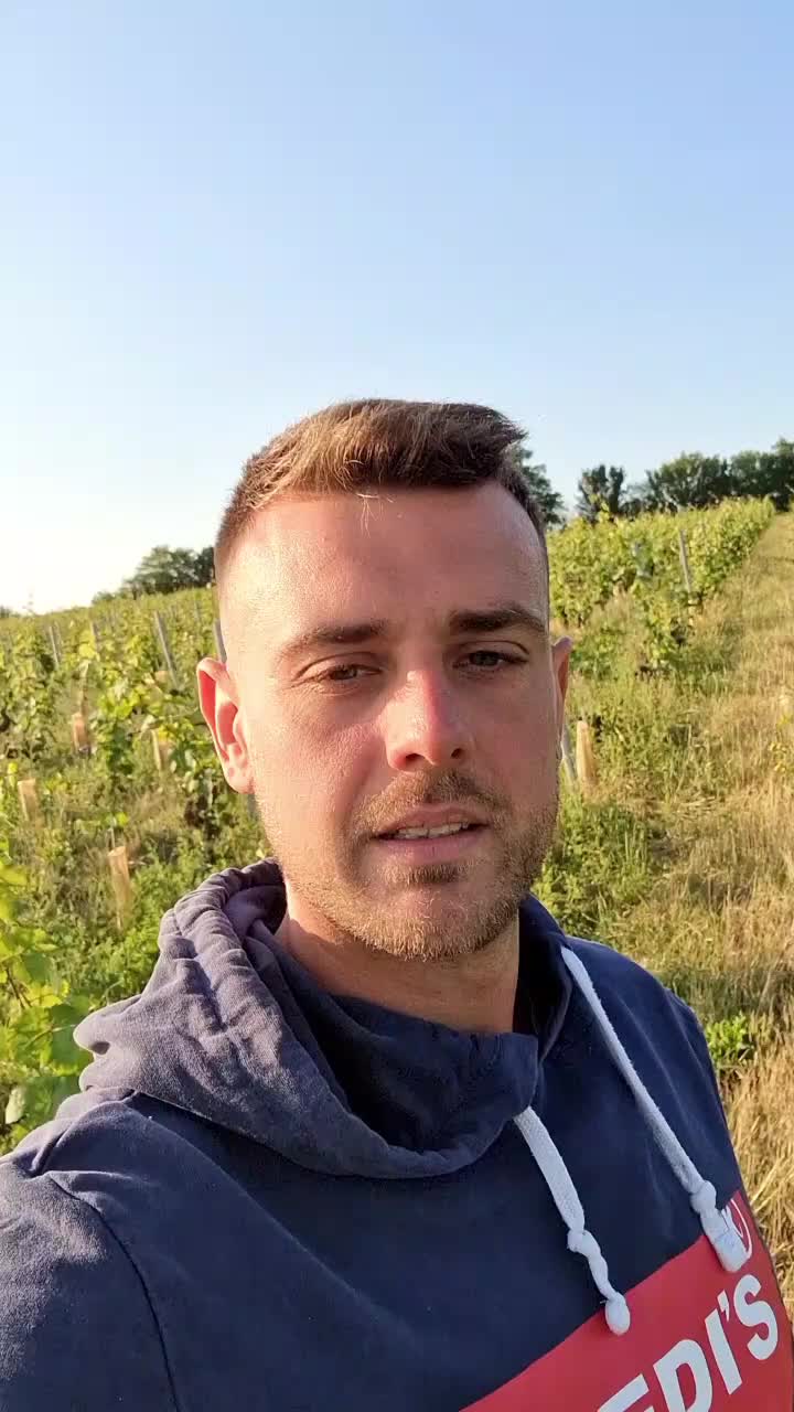 @DoVidéo