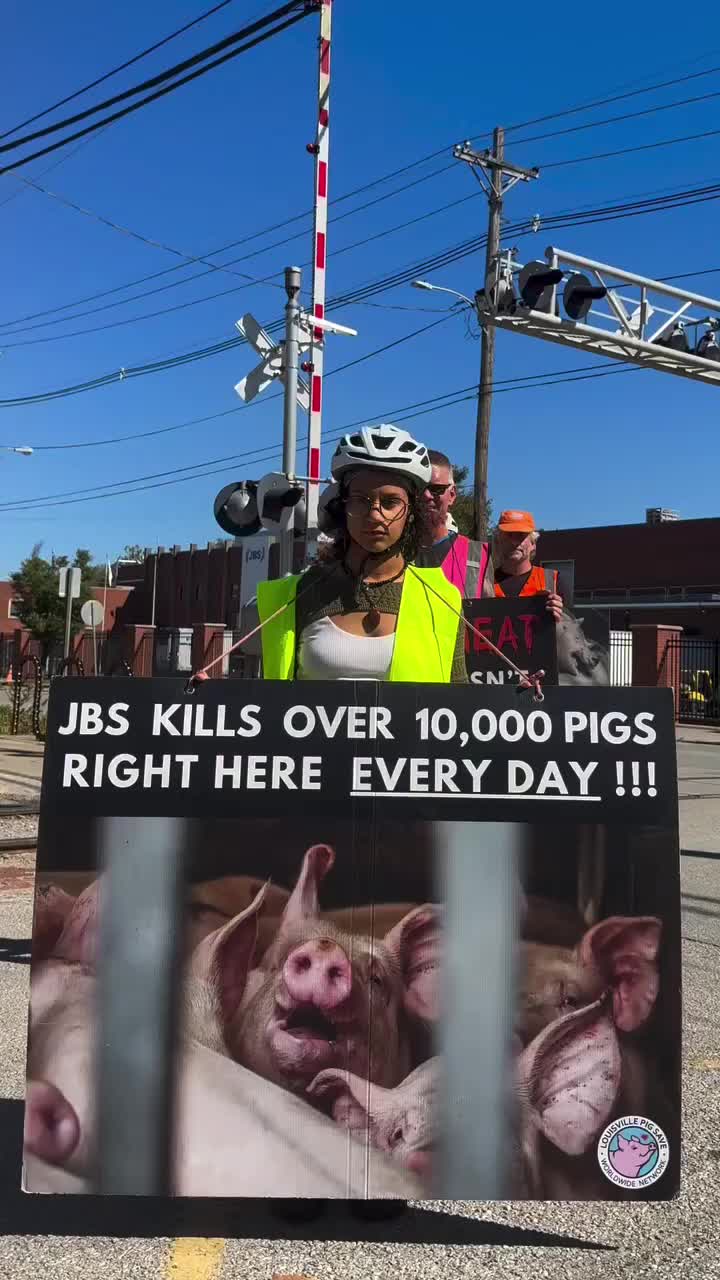 @Animal Save Movement