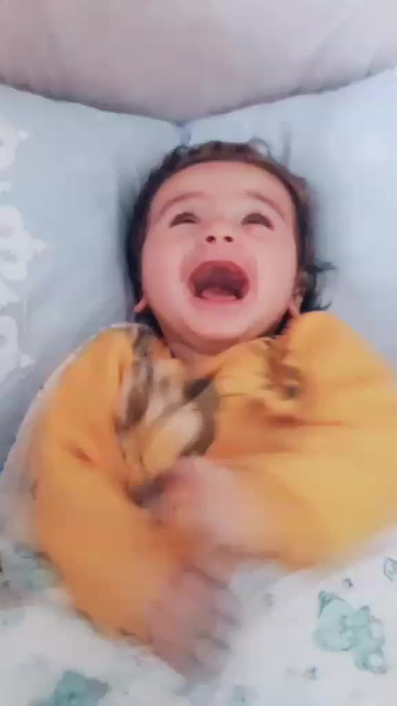 @Ayşe Güler