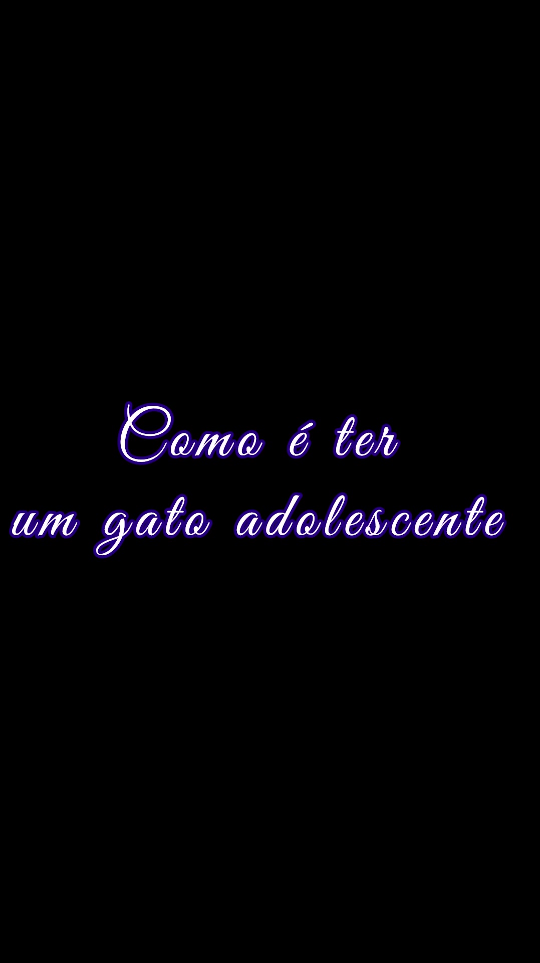 @Gato Harley