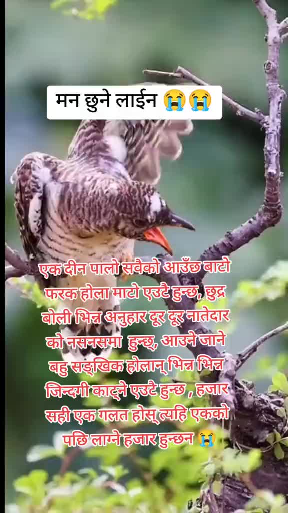@uttamban20🇳🇵🇲🇻