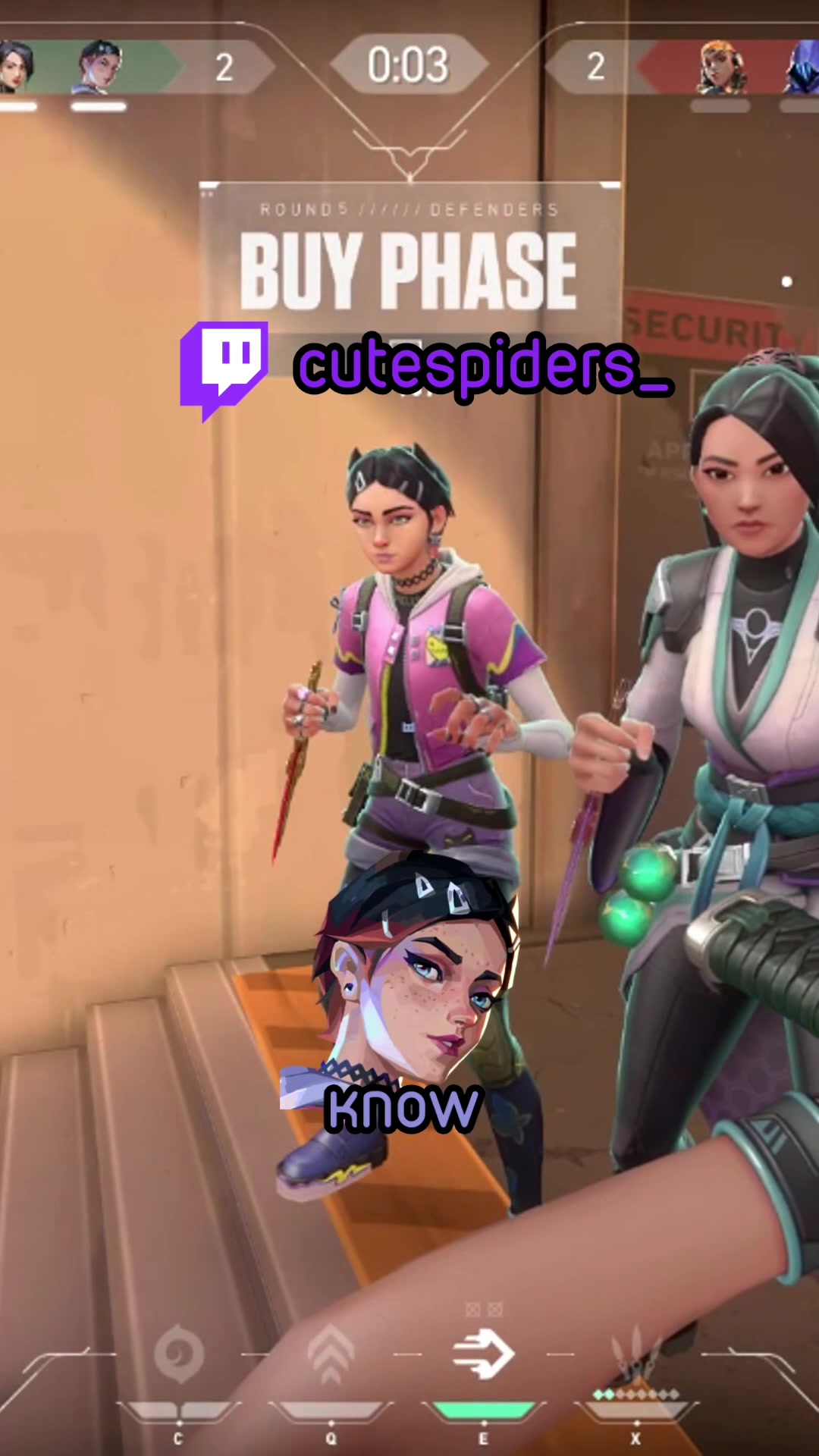 @cutespiders 🕷️🕸️