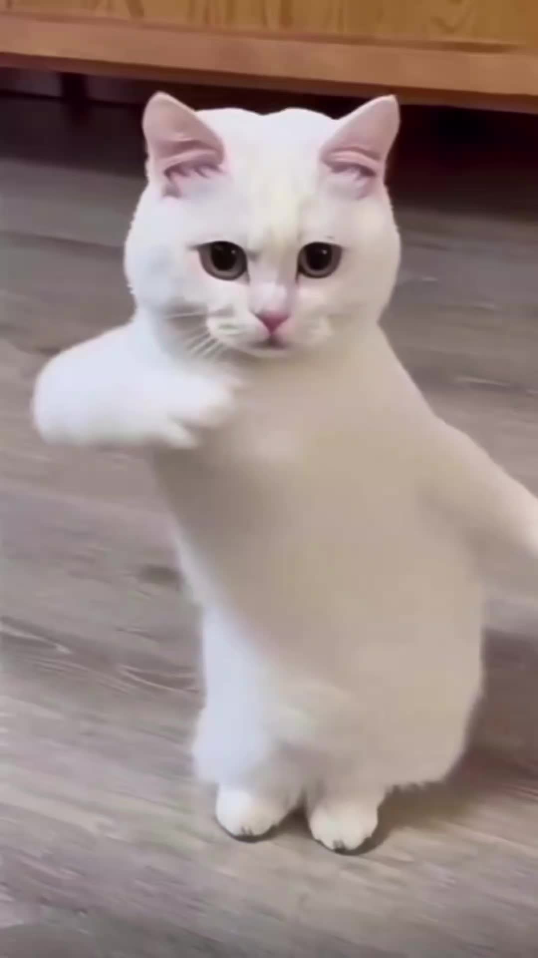 @John