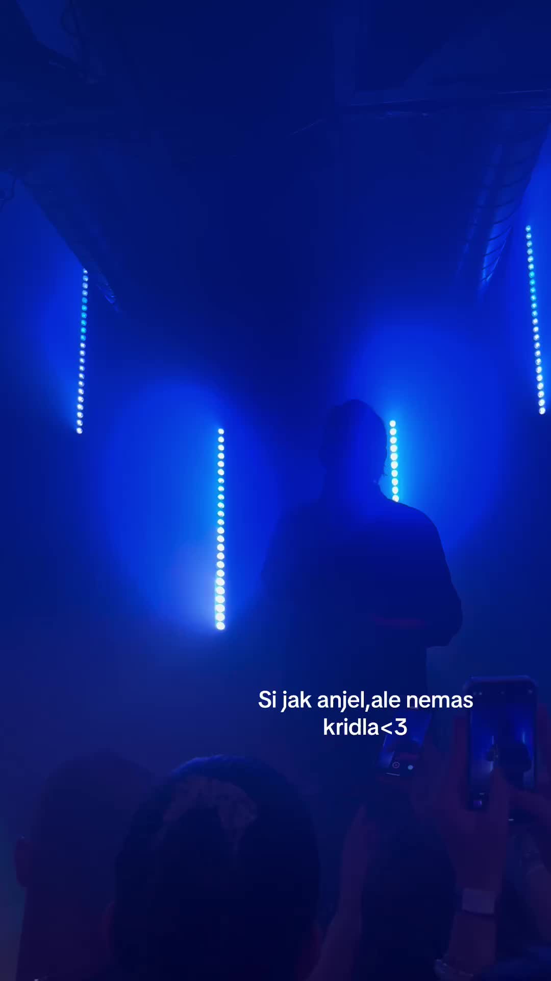 @gebauerova klara