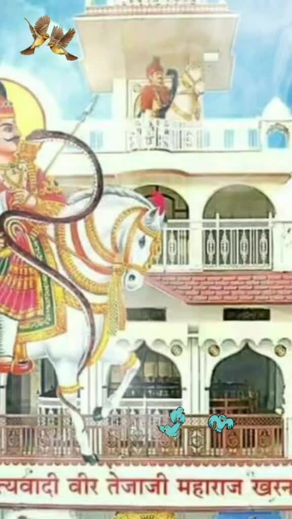 @👑king👑_of_bishnoi  🦁 💪