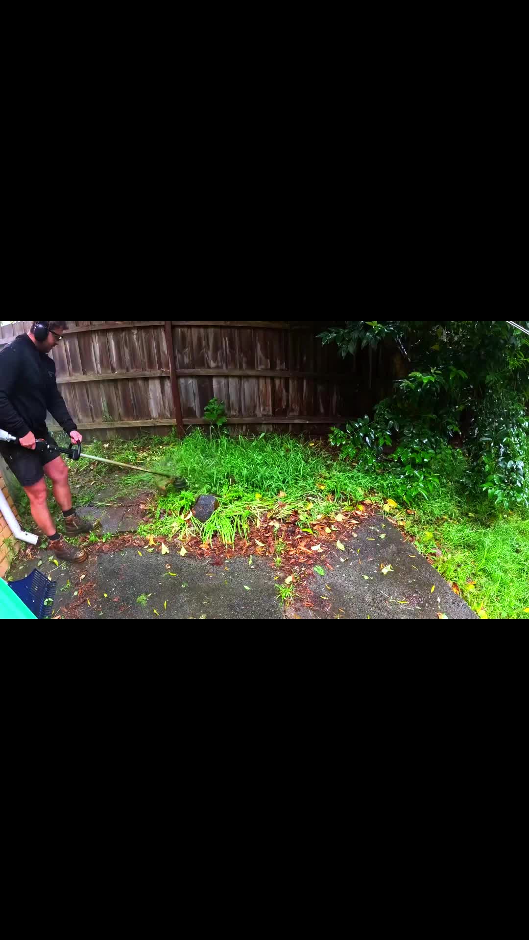 @treeplant_gardening