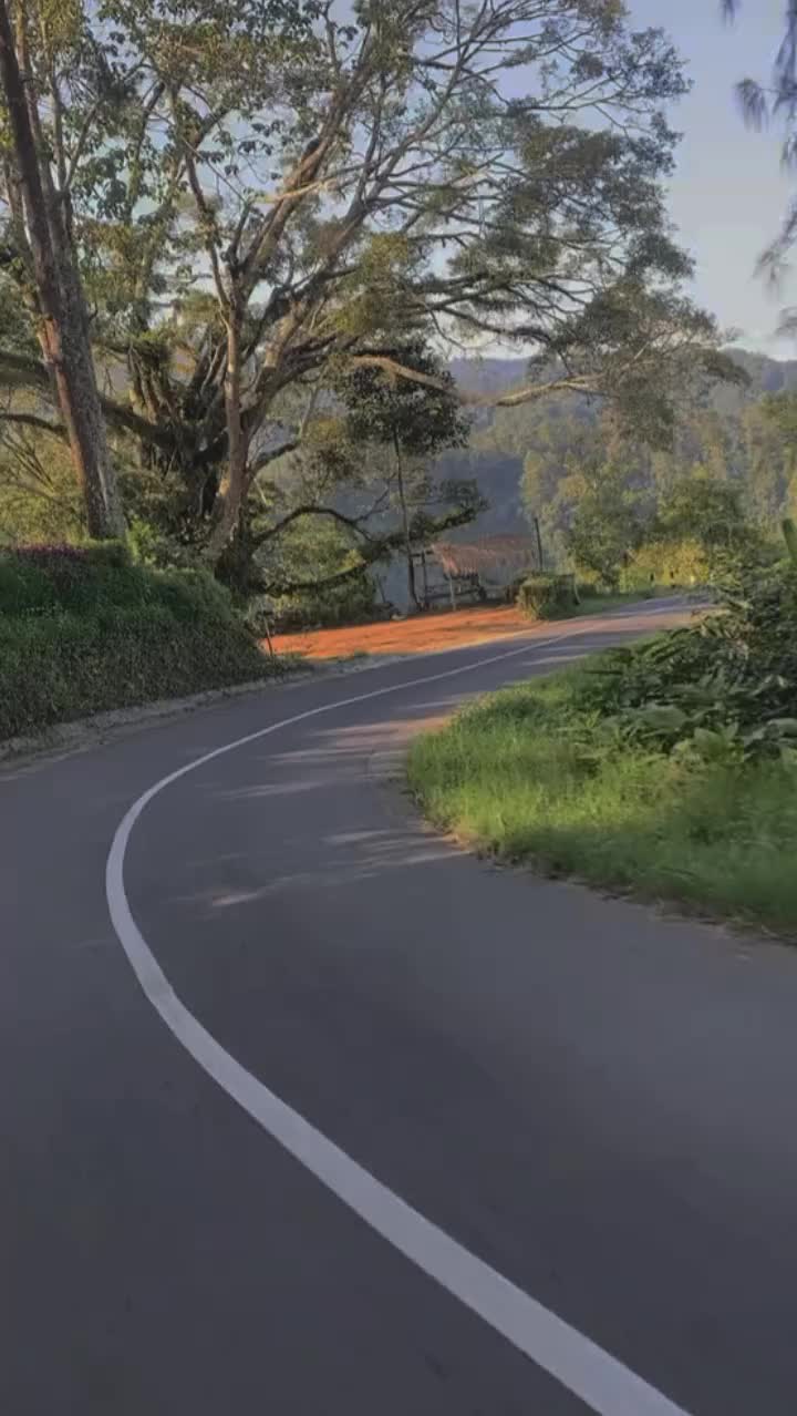 @Mas_f
