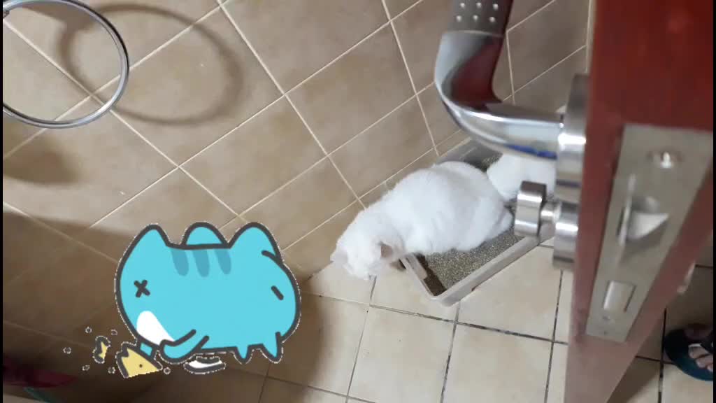 @SikongSimongChikong