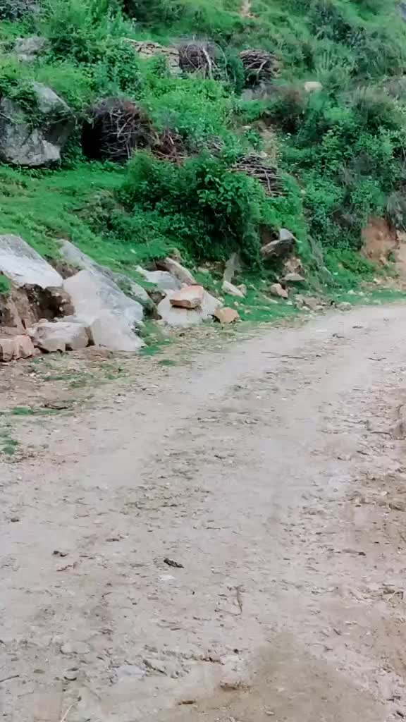 @@sachintichkulay79