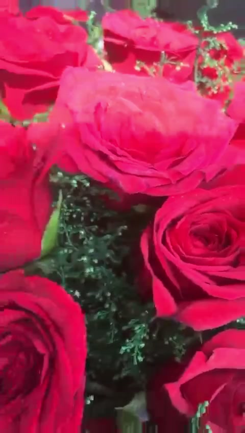 @Shubu1313